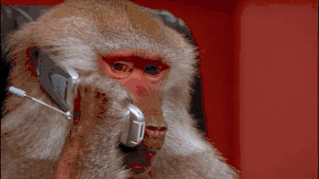 원숭이-전화-휴대폰-받는-장면-심각-신고-전화기.gif